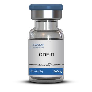 GDF-11 (500pg)
