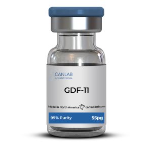 GDF-11 (55pg)